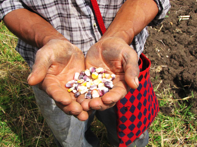 Holding the seeds of resistance