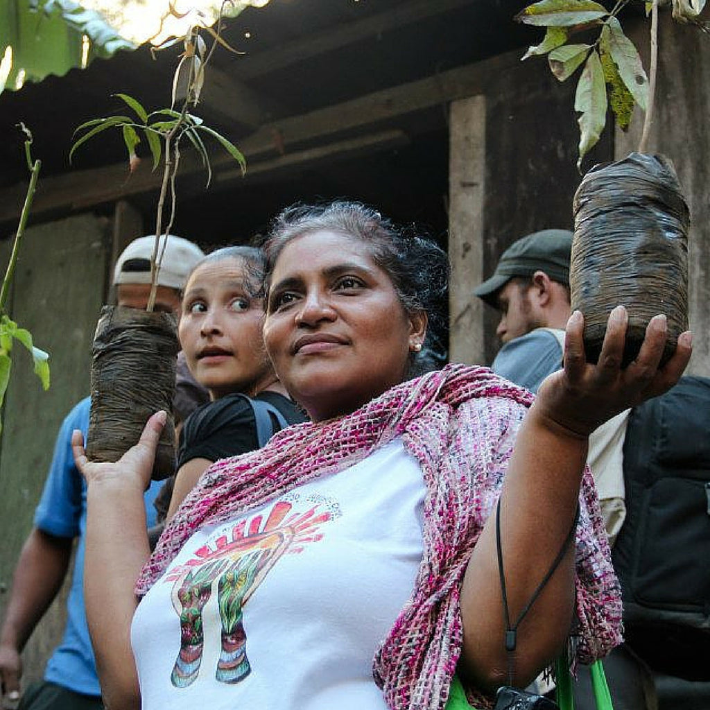 Women Farmers in Charge? Get Used to It.