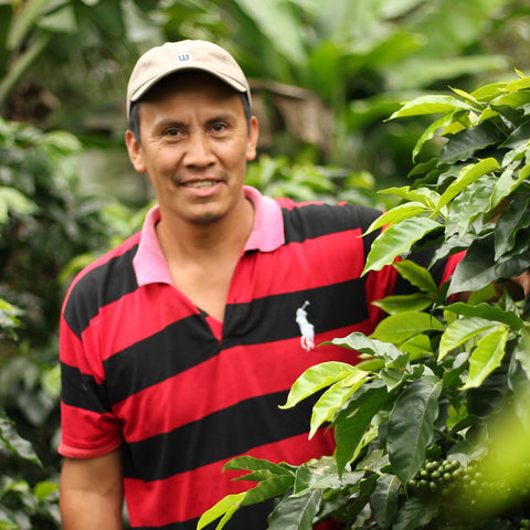 Eraldo Garcia of COMSA in Honduras