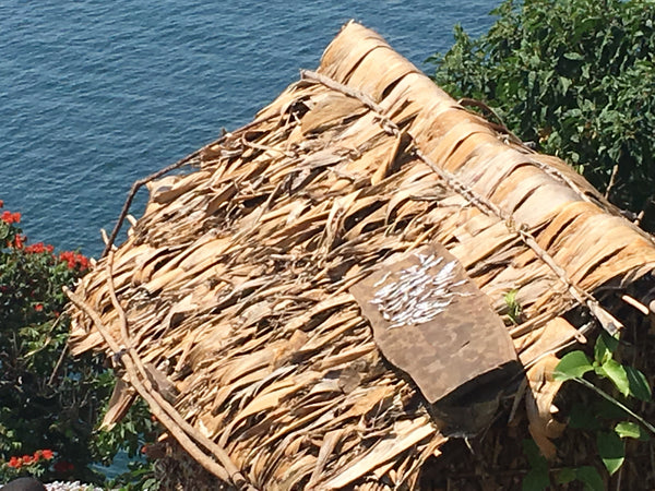 Grass hut in Nyabirehe, DRC