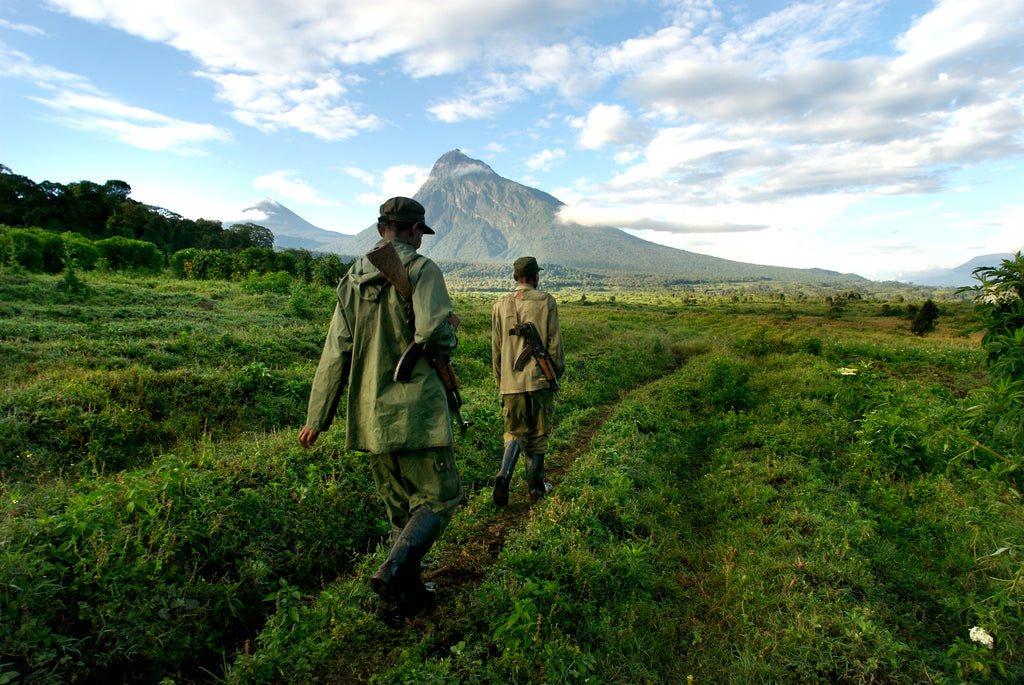 Introducing Kawa Kanzururu: the First Coffee of its Kind