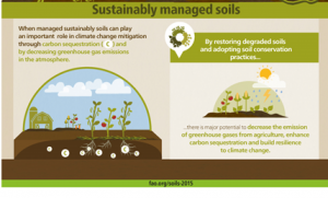 carbon-farming_cropped